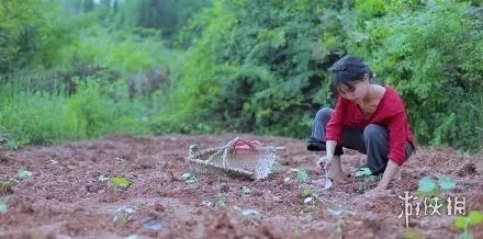 越南博主抄袭李子柒是怎么回事 越南博主抄袭李子柒视频