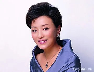 杨澜的老公是谁