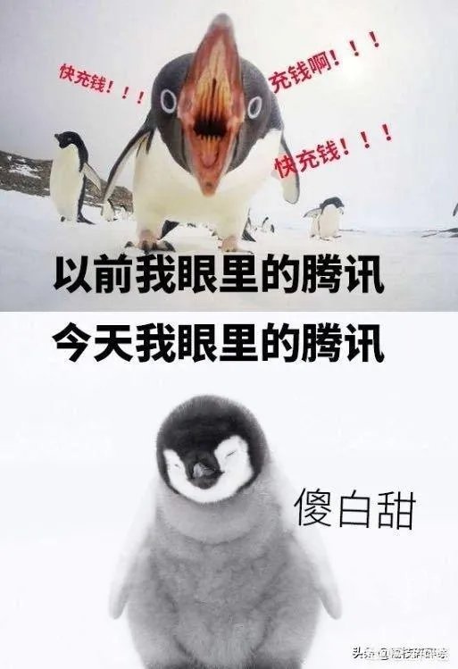 老干妈和腾讯的问题，是怎么回事儿？