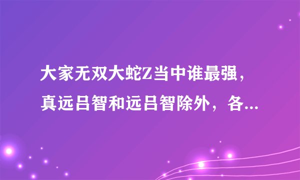 大家无双大蛇Z当中谁最强，真远吕智和远吕智除外，各方面分析。