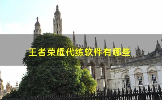 王者荣耀代练软件有哪些