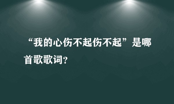“我的心伤不起伤不起”是哪首歌歌词？