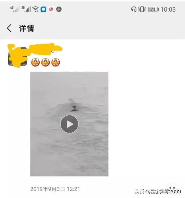 前几天出现的“三峡水怪”是什么，会是未知的生物吗？