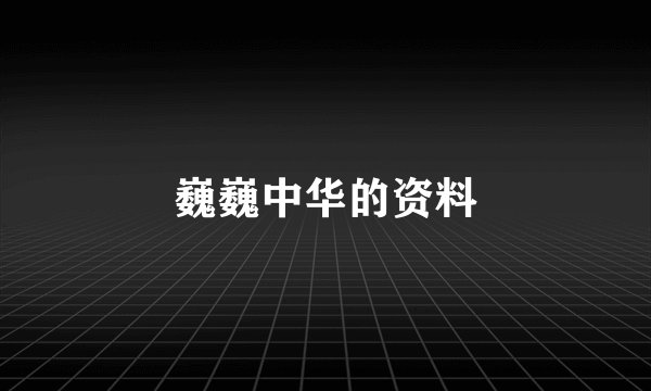 巍巍中华的资料