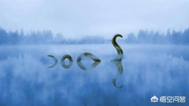 前几天出现的“三峡水怪”是什么，会是未知的生物吗？