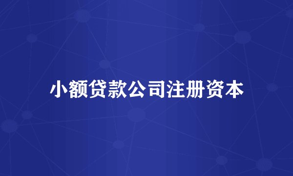 小额贷款公司注册资本