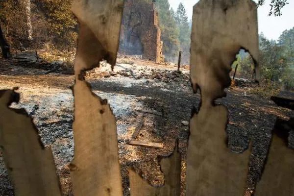 美国加州森林大火是什么情况？