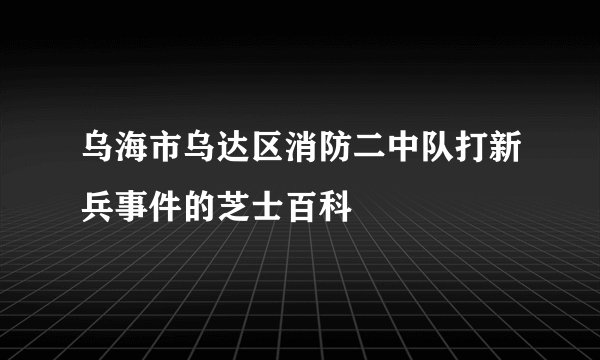 乌海市乌达区消防二中队打新兵事件的芝士百科