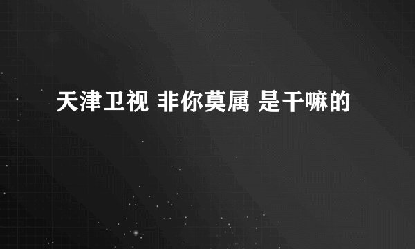 天津卫视 非你莫属 是干嘛的
