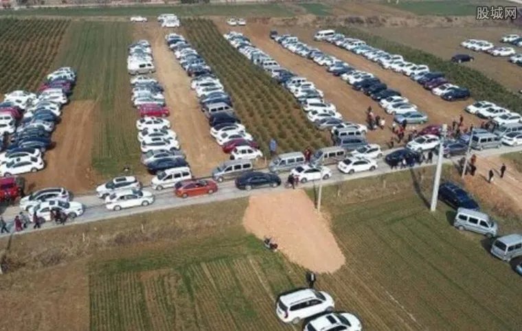 暴富 村民改麦田为临时停车场一天收入2000元