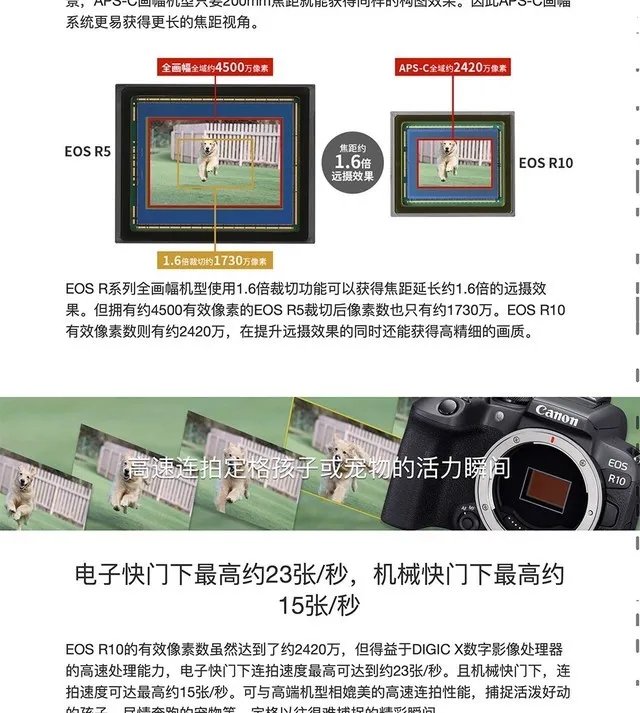 江苏佳能EOS R10微单相机轻量小型APS-C画幅