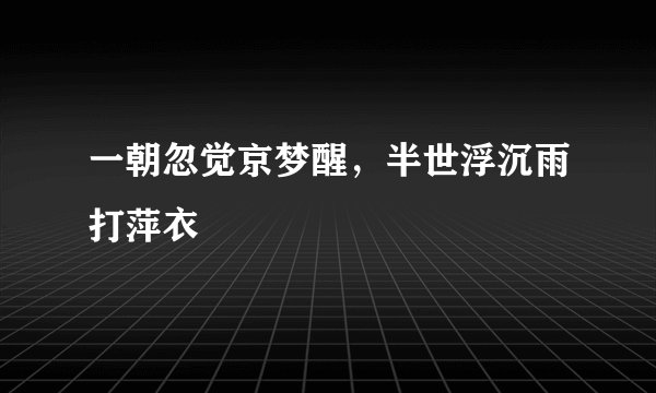 一朝忽觉京梦醒，半世浮沉雨打萍衣