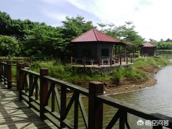 如何打造生态休闲农业园项目?