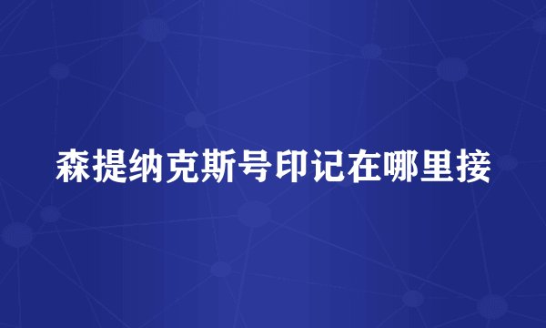 森提纳克斯号印记在哪里接