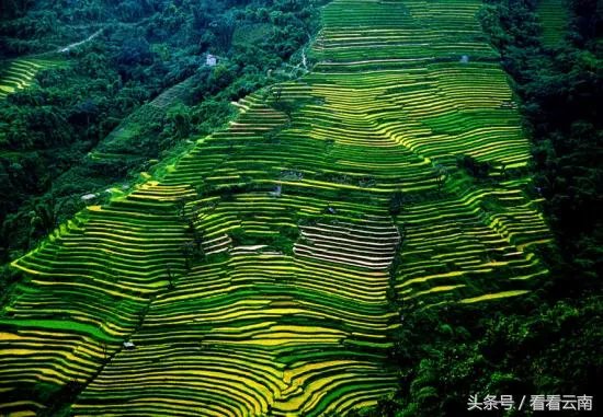 世界上最大的梯田有多少级阶梯？