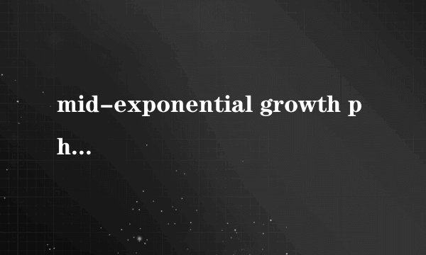 mid-exponential growth phase是什么意思