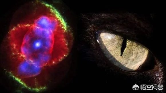 宇宙以外还有什么