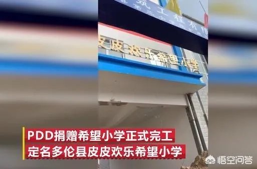 如何看待PDD援建的「皮皮欢乐希望小学」？