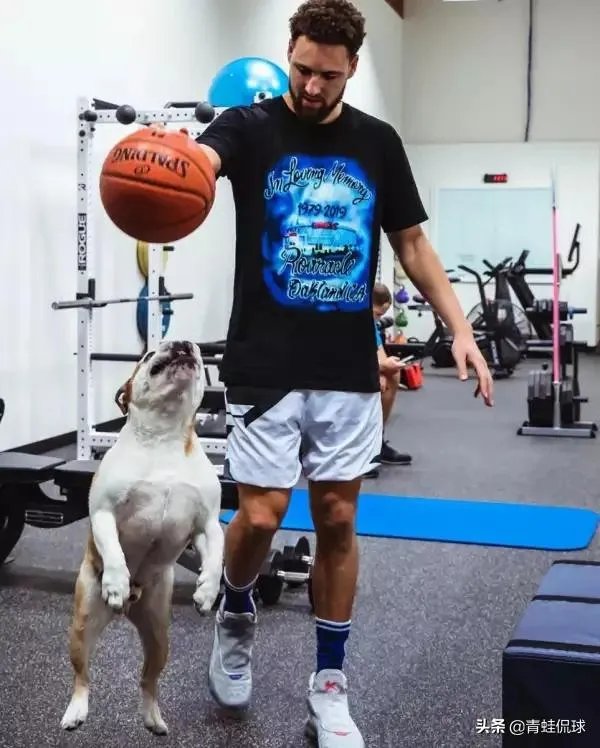 库里和克莱的伤势都怎么样了，什么时候可以打比赛？