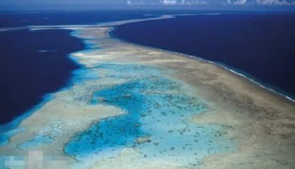 所罗门群岛砍树的故事