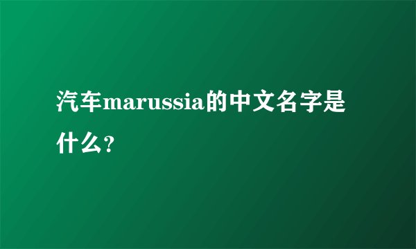 汽车marussia的中文名字是什么？