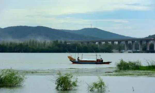 元旦主持人台词