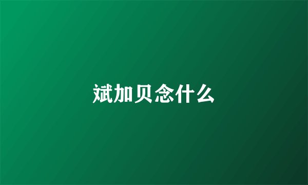 斌加贝念什么