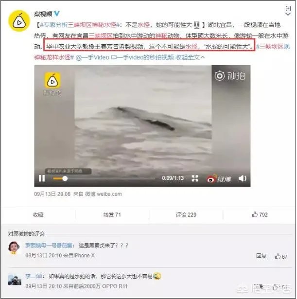 前几天出现的“三峡水怪”是什么，会是未知的生物吗？