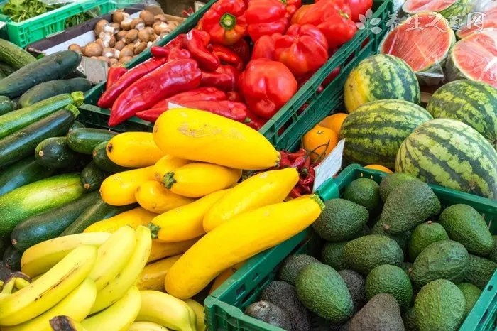 每天喝绿茶能减肥吗