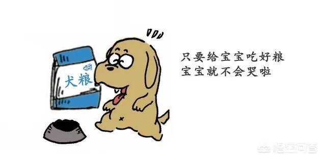 狗狗泪痕怎么解决?