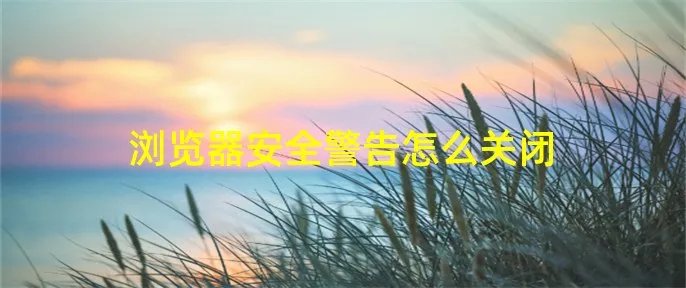 浏览器安全警告怎么关闭