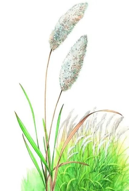 那些藏在历史长河中的“定情信物”，都有什么呢？