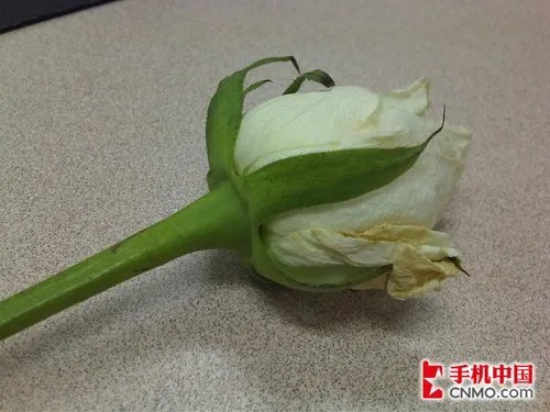 移动定制商务利器 黑莓8910 Curve评测