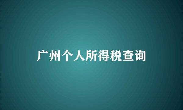 广州个人所得税查询