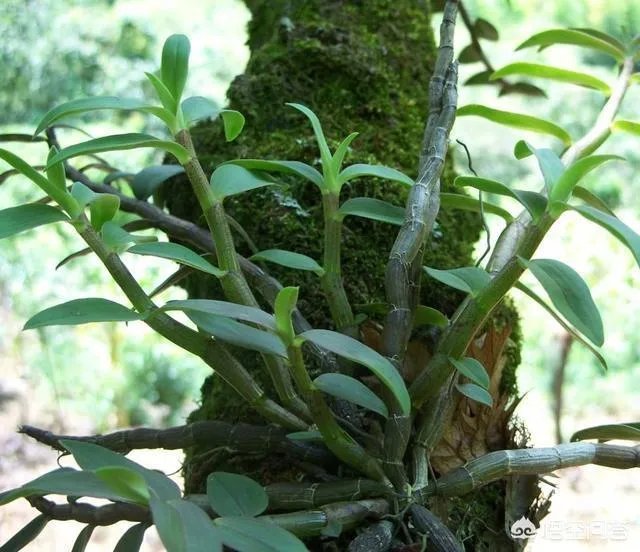 你认为中央电视台的《致富经》能让人致富吗？