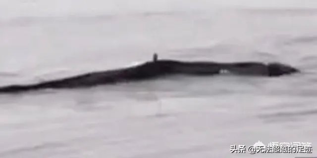 前几天出现的“三峡水怪”是什么，会是未知的生物吗？