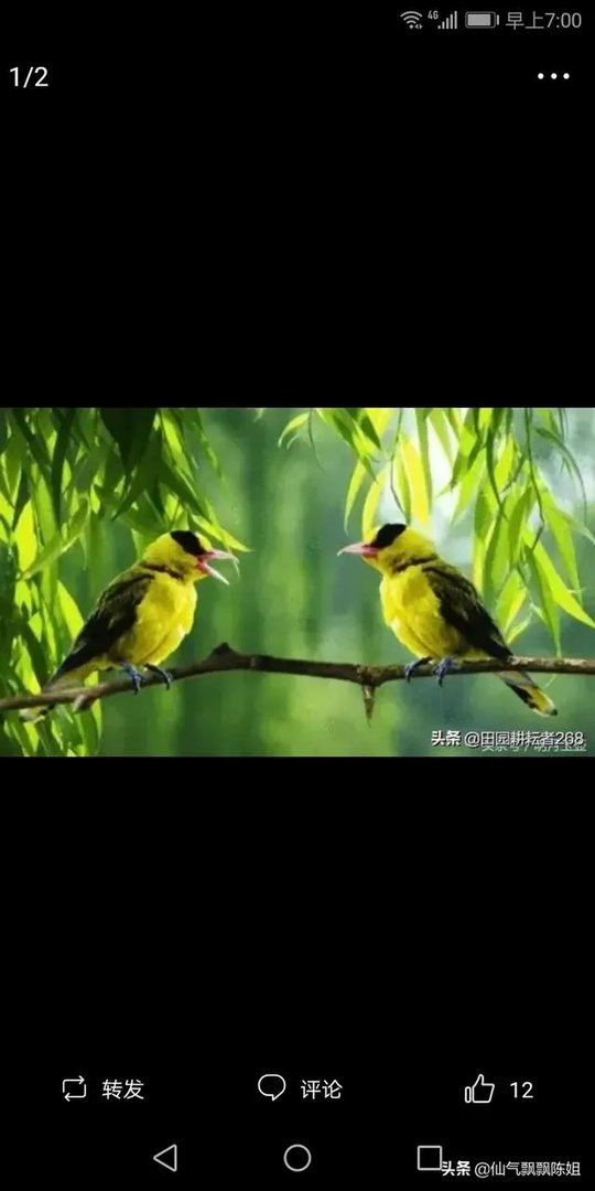 征婚交友的app手机软件，有哪些比较真实一些？