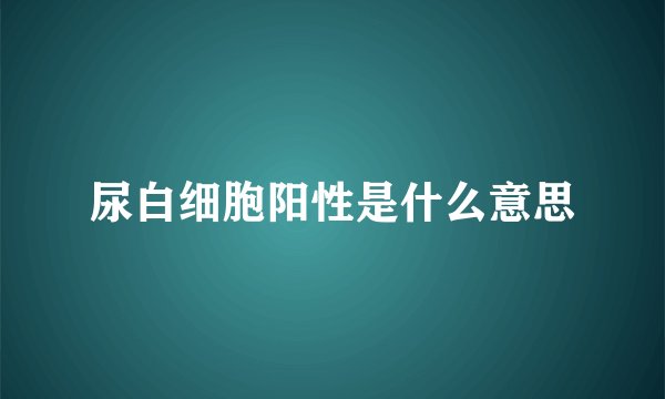 尿白细胞阳性是什么意思