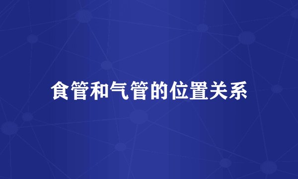 食管和气管的位置关系
