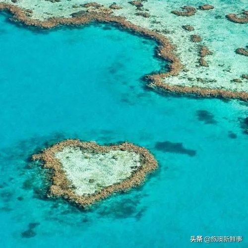 为何有些人喜欢去澳洲旅游？