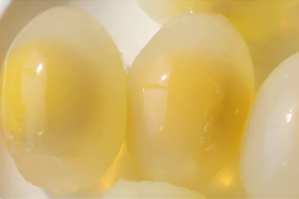 鸽蛋的营养价值及功效 鸽子蛋怎么吃才有营养