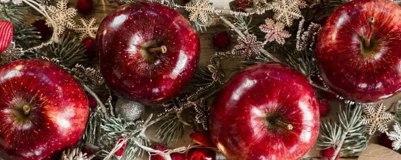圣诞节苹果叫什么