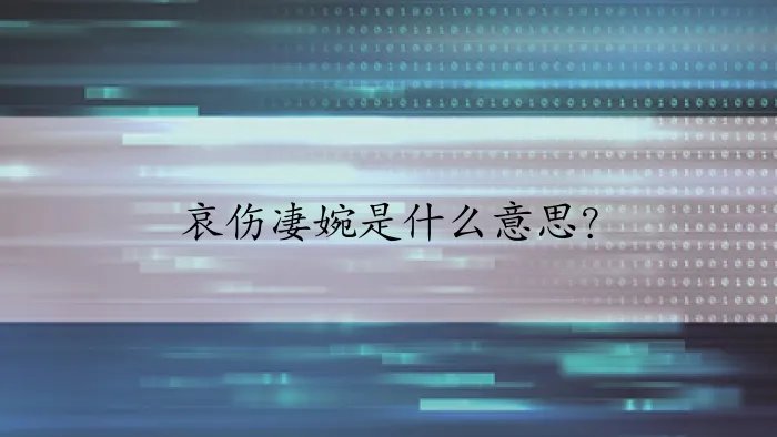 哀伤凄婉是什么意思？