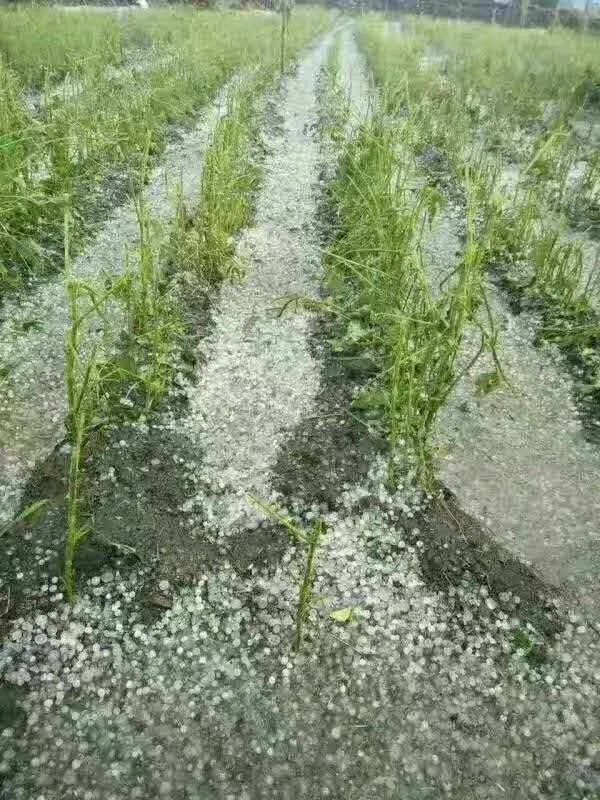 上联是“晨不见日雨纷落”，如何对下联？