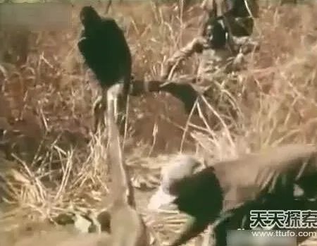 男子将腿伸洞穴 下幕不可思议（组图）