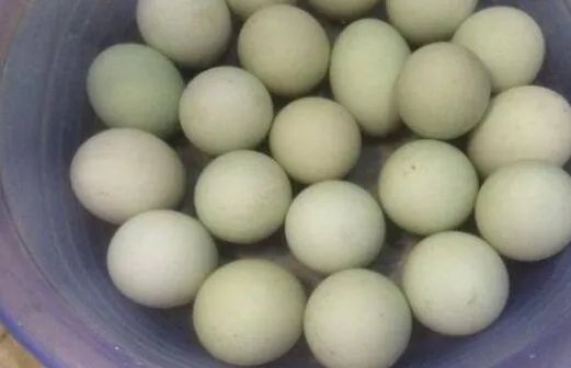 盐蛋的制作方法 家常 简易