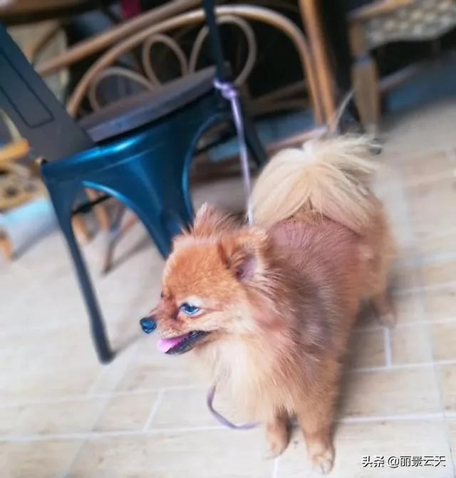 江南到底指的是哪些地方？