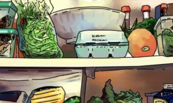 中国十大名牌冰箱排行榜