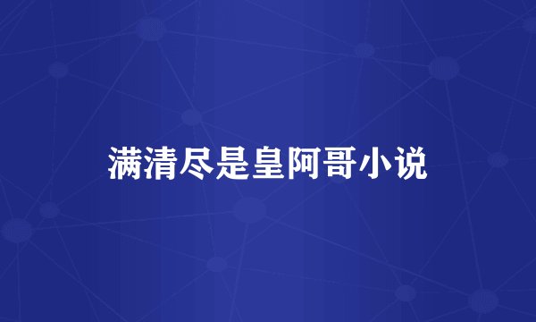 满清尽是皇阿哥小说