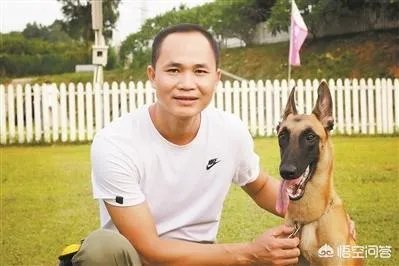 训狗师这个工作怎么样？